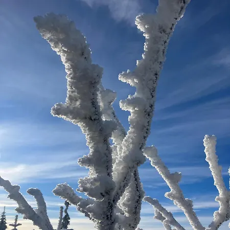 アパート Muehlbergidyll *