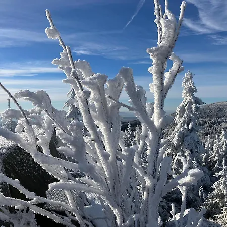 アパート Muehlbergidyll *