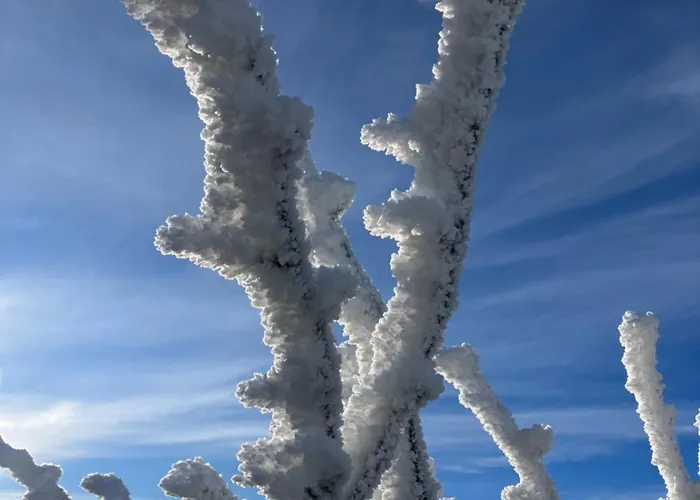 公寓 Muehlbergidyll *