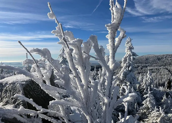 アパート Muehlbergidyll *